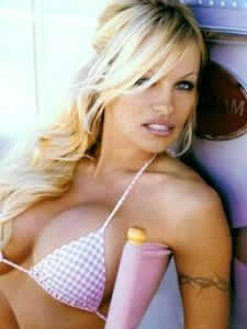 pamela anderson