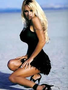 pamela anderson