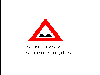 virus finti
